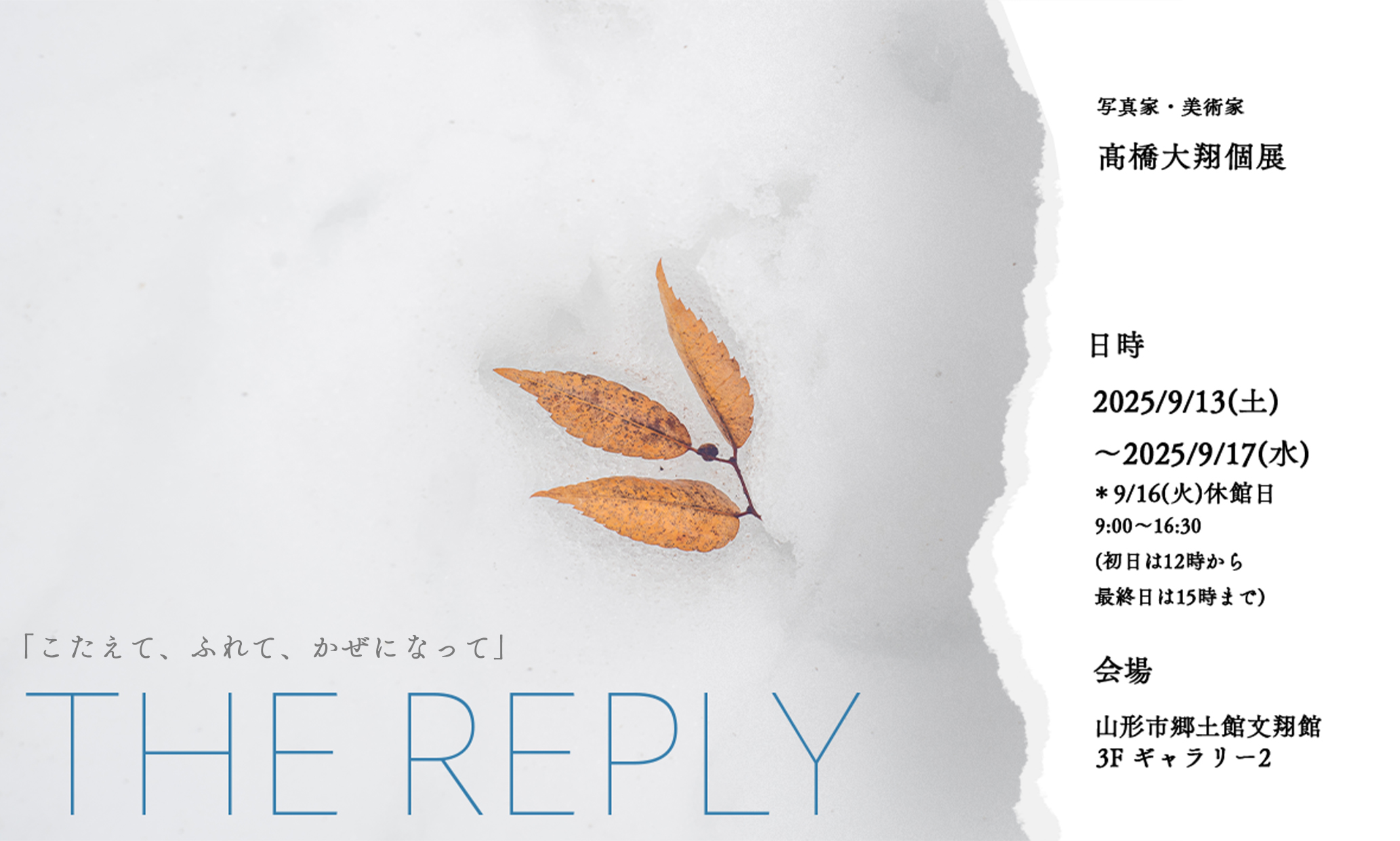 THE REPLY 概要フライヤー